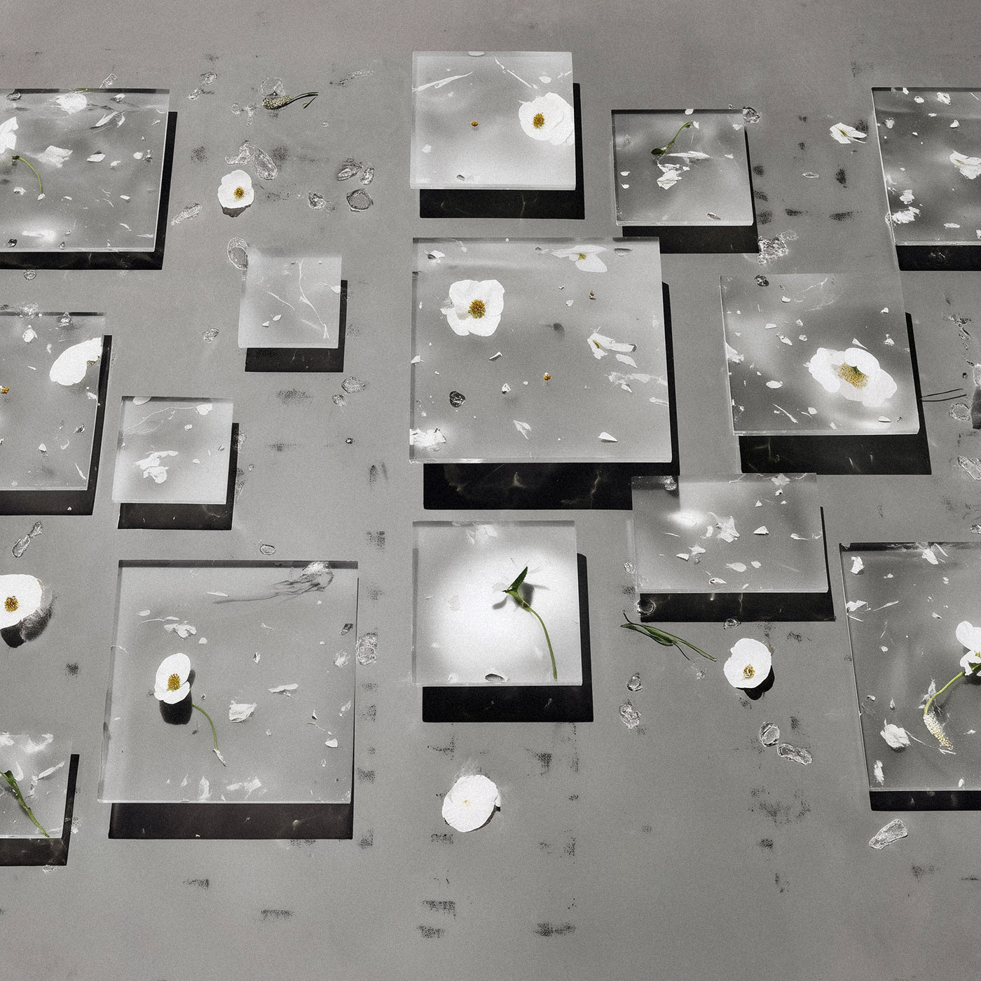 Unveil Dévoile / 現す / Diptych Make-up Remover