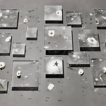 Unveil Dévoile / 現す / Diptych Make-up Remover